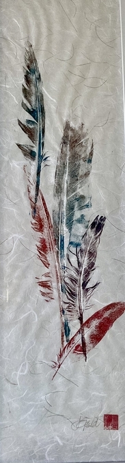 Goose Feathers from the Farm